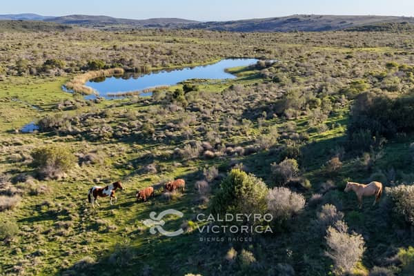 15 hectáreas. Chacra en Lavalleja Uruguay